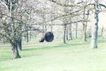 image: Image from the photoset &lsquo;sculpture&rsquo;.