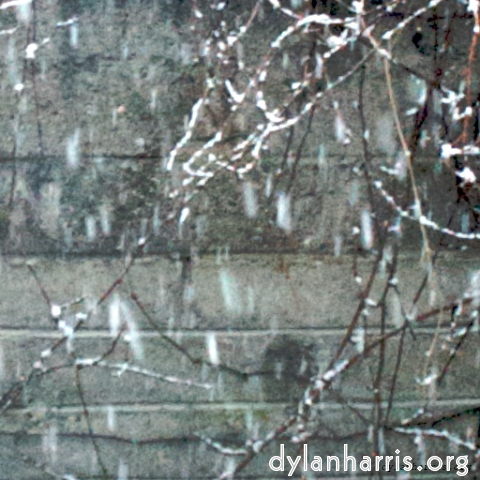 image: an image