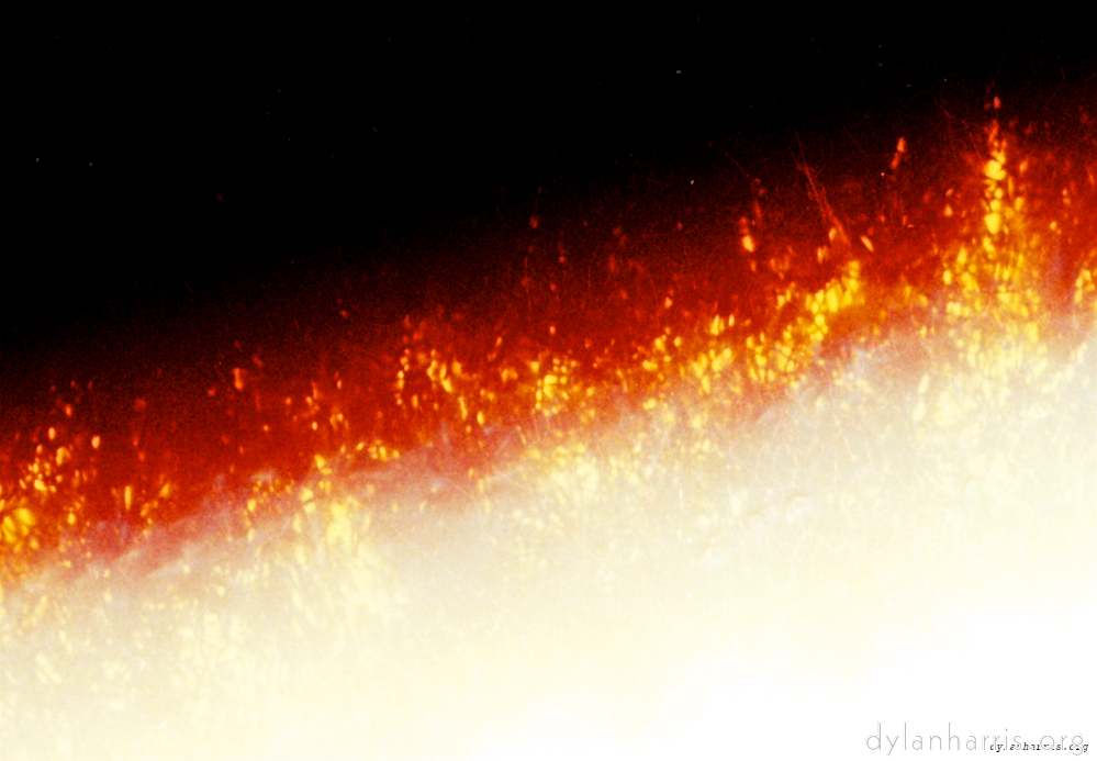 image: This is &lsquo;snowfire 2&rsquo;.