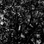 Fifth image from the photoset 'tannoy (i)'.