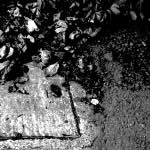 Ninth image from the photoset 'tannoy (i)'.