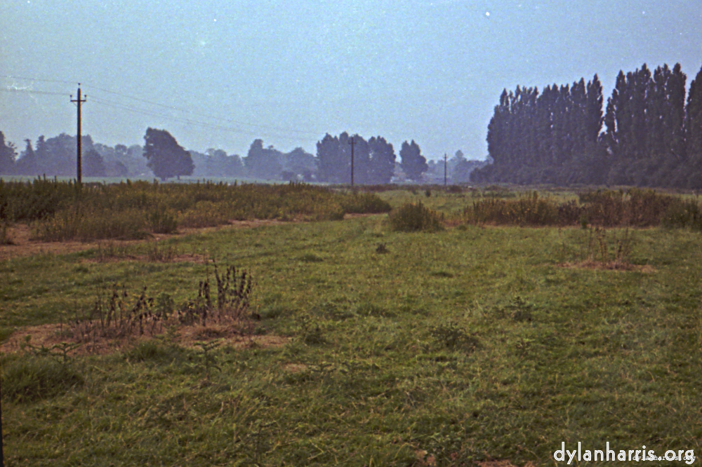 image: This is &lsquo;tempsford 3&rsquo;.