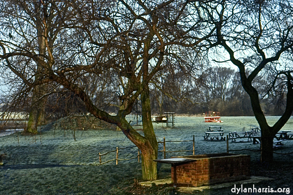 image: This is &lsquo;tempsford 4&rsquo;.