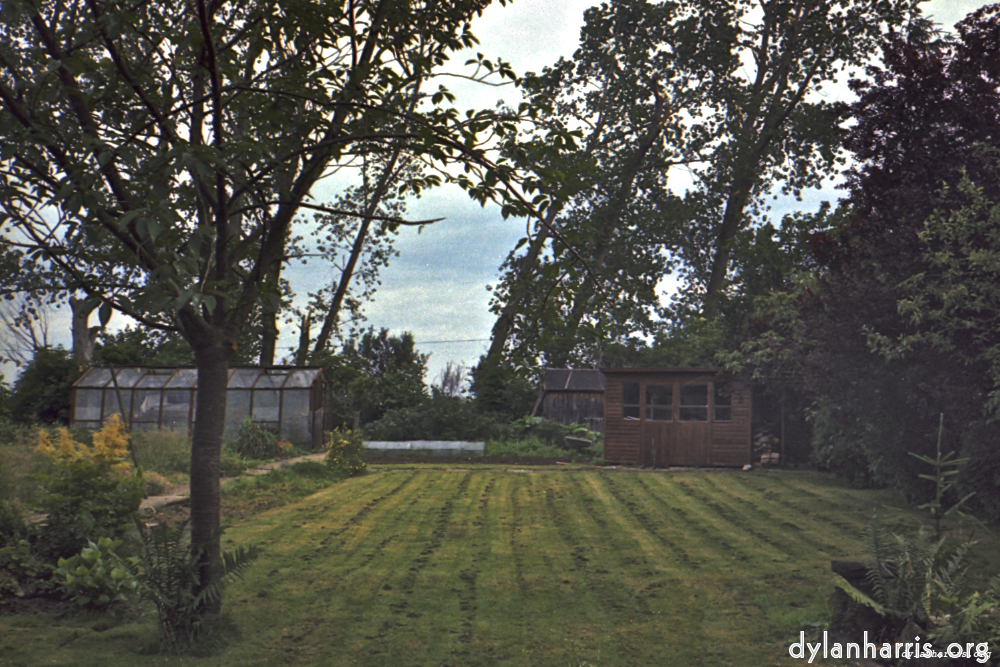 image: This is &lsquo;tempsford 8&rsquo;.