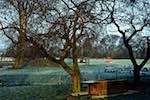 image: Image from the photoset &lsquo;tempsford&rsquo;.