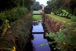 image: Image from the photoset &lsquo;tempsford&rsquo;.