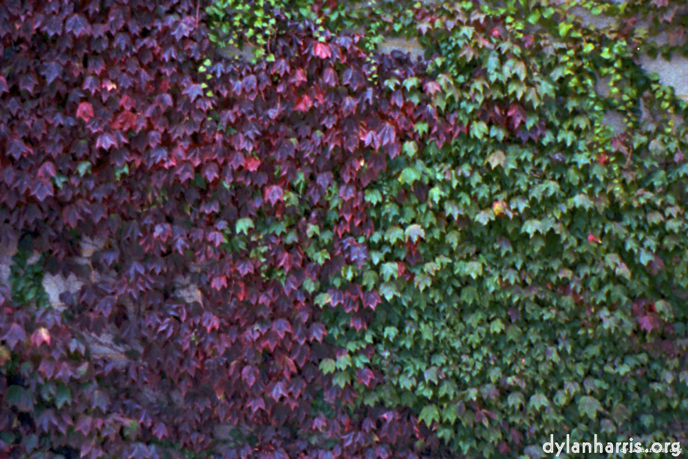 image: This is &lsquo;texture (iii) 11&rsquo;.