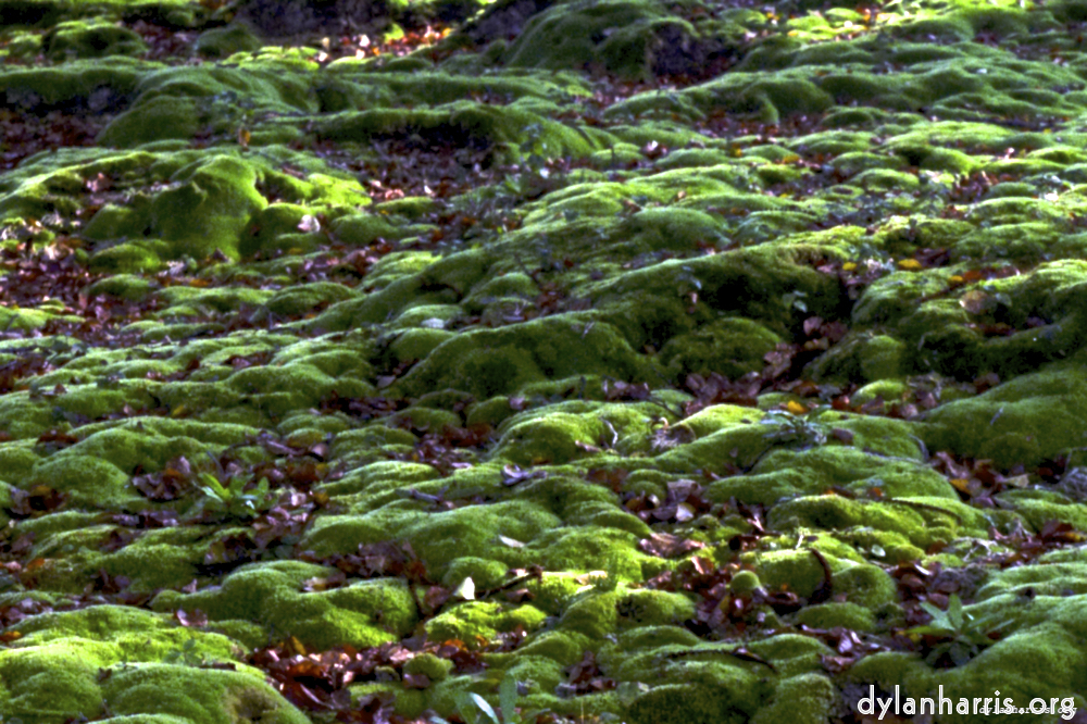 image: This is &lsquo;texture (iii) 13&rsquo;.