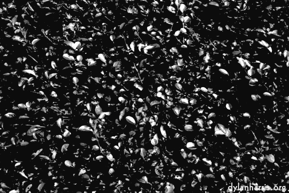 image: This is &lsquo;texture (iii) 14&rsquo;.