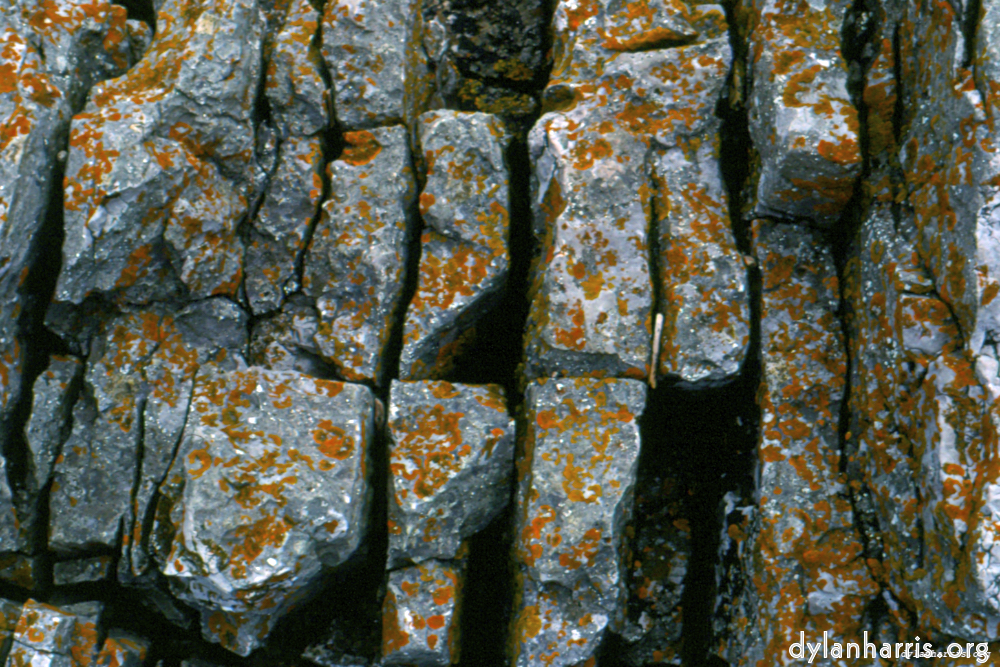 image: This is &lsquo;texture (iii) 18&rsquo;.