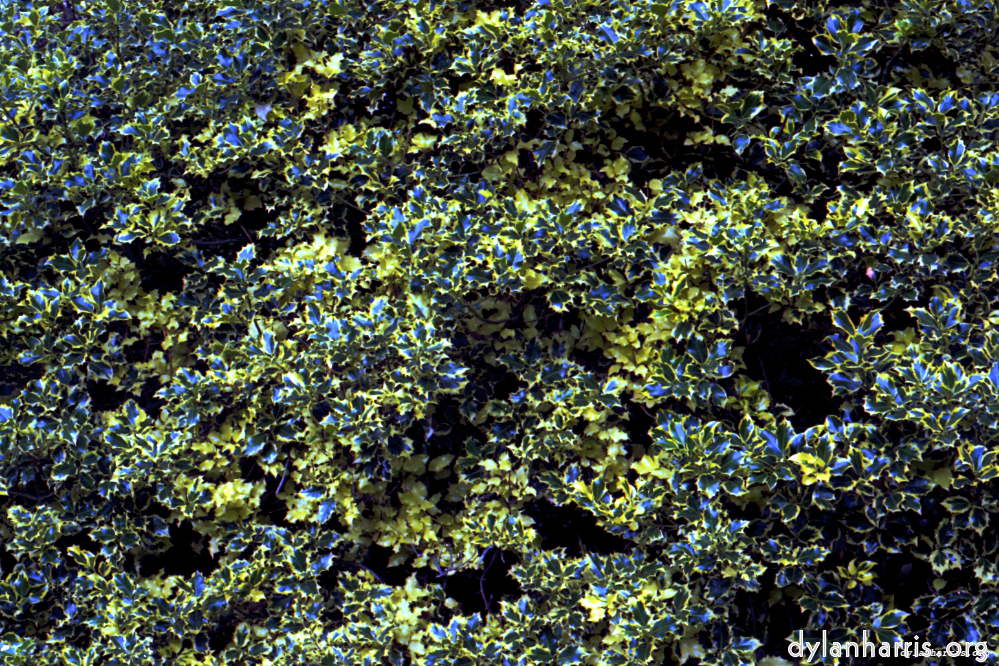 image: This is &lsquo;texture (iii) 19&rsquo;.