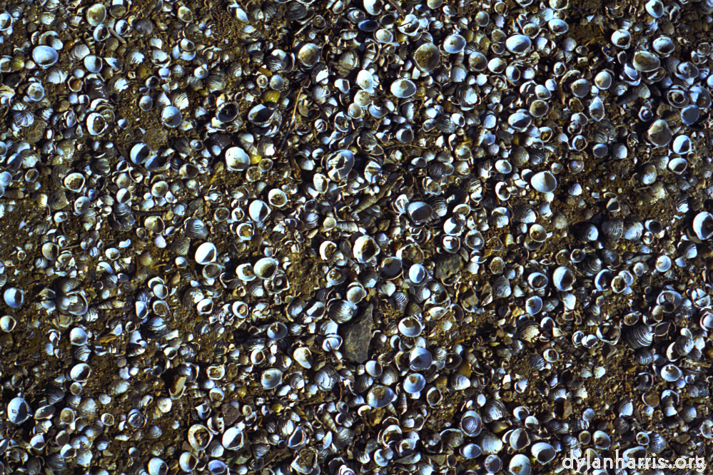 image: This is &lsquo;texture (iii) 20&rsquo;.