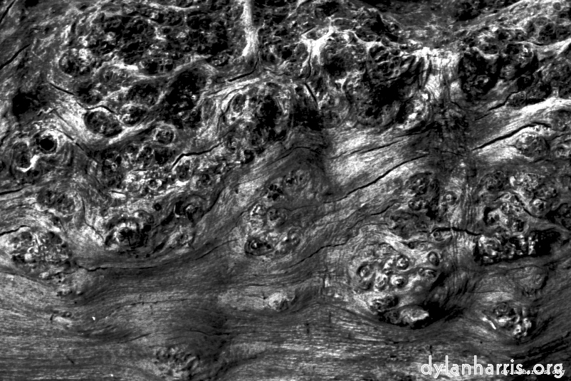 image: This is &lsquo;texture (iii) 4&rsquo;.