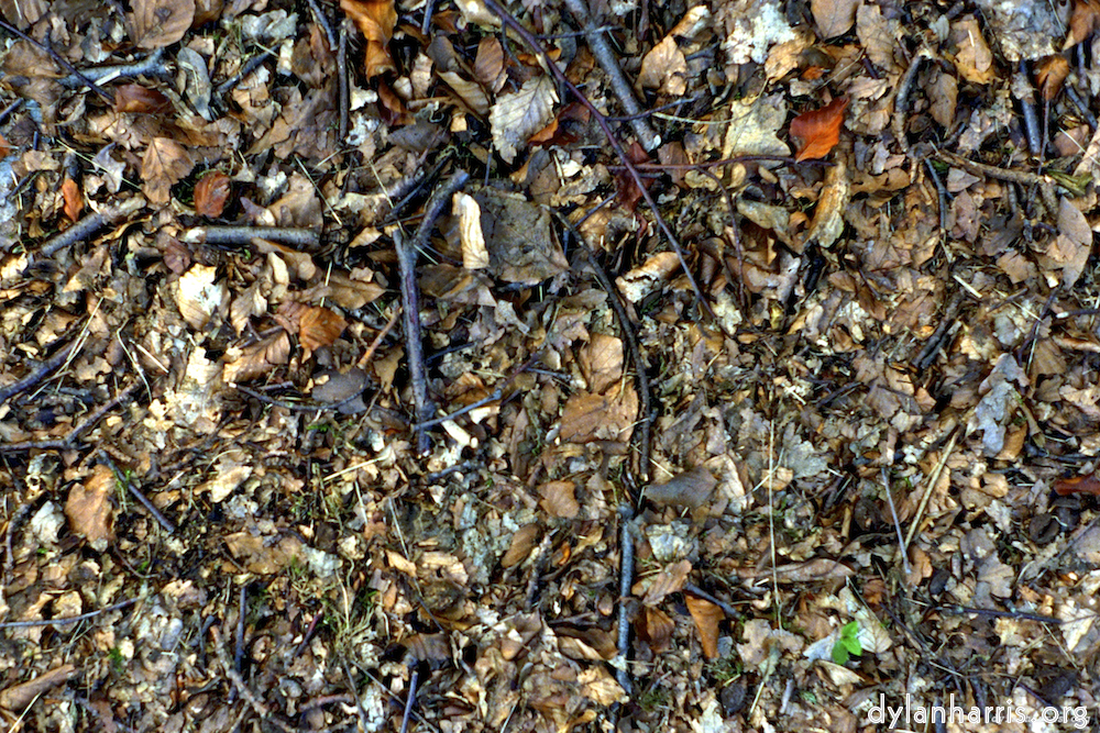 image: This is &lsquo;texture (iii) 7&rsquo;.