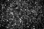 image: Image from the photoset &lsquo;texture (iii)&rsquo;.