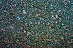 image: Image from the photoset &lsquo;texture (iii)&rsquo;.