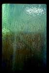 image: Image from the photoset &lsquo;texture (iii)&rsquo;.