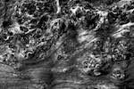 image: Image from the photoset &lsquo;texture (iii)&rsquo;.