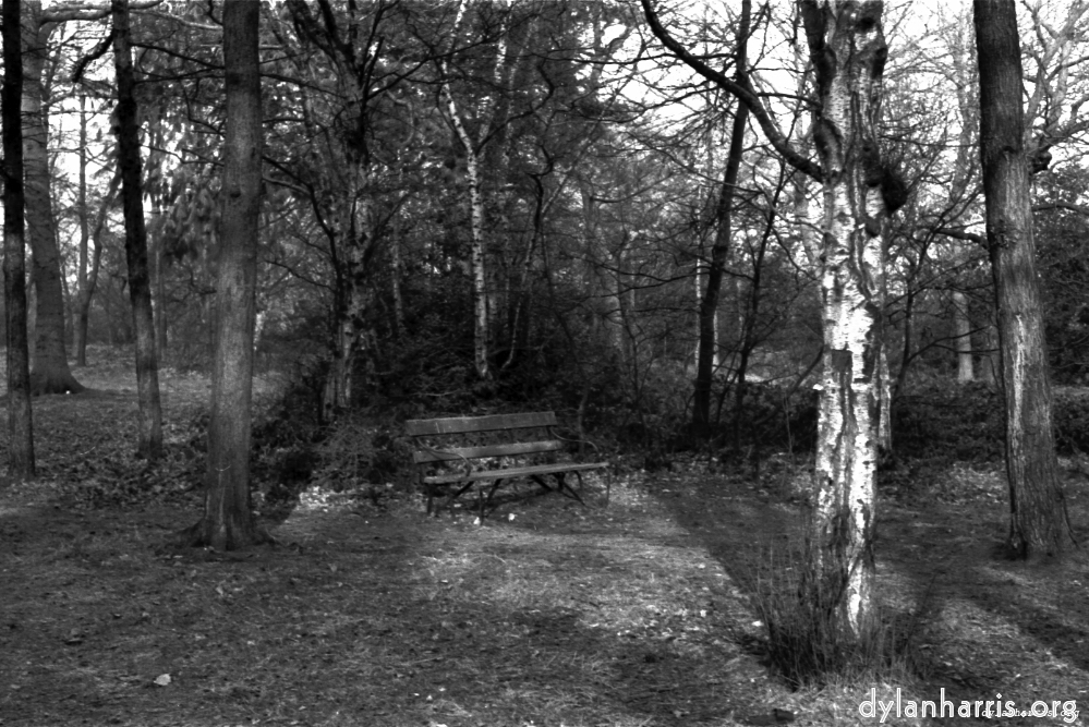image: This is &lsquo;woods 2&rsquo;.