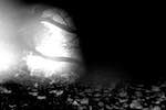 image: Image from the photoset &lsquo;woods&rsquo;.