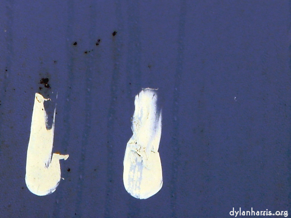Image 'wurm im apfel (i) 1'.