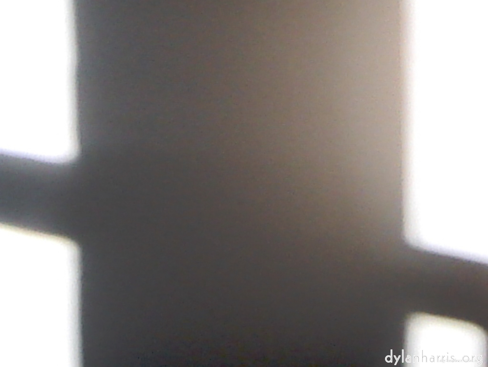 image: This is &lsquo;wurm im apfel (i) 11&rsquo;.
