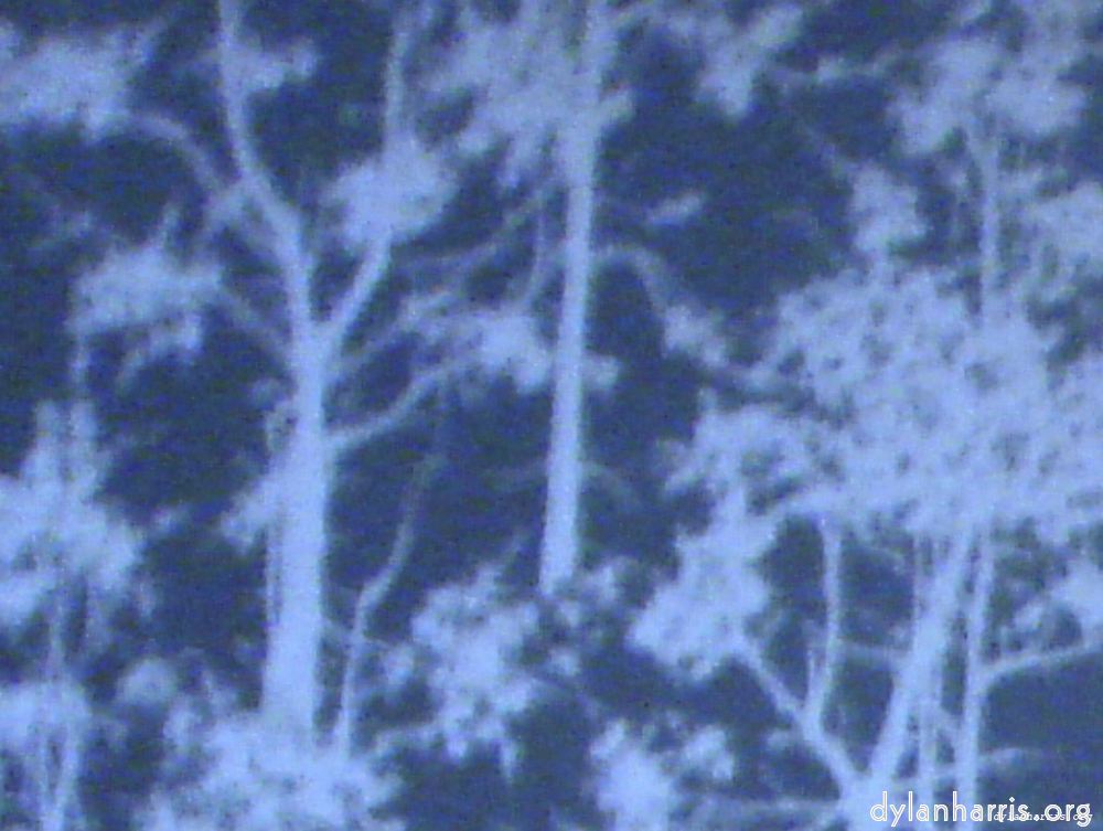 image: This is &lsquo;wurm im apfel (i) 13&rsquo;.