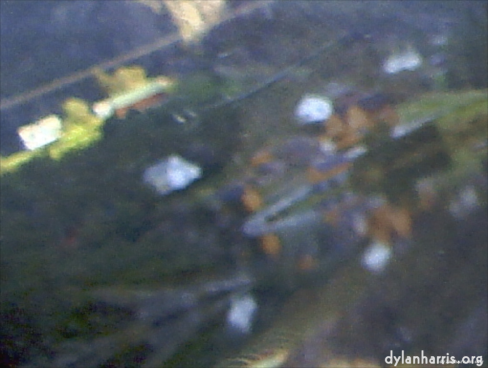 image: This is &lsquo;wurm im apfel (i) 15&rsquo;.