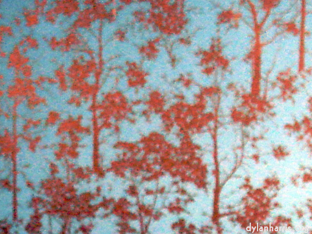 image: This is &lsquo;wurm im apfel (i) 3&rsquo;.