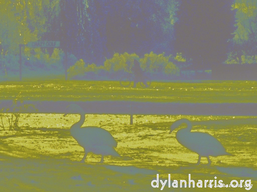 image: This is &lsquo;wurm im apfel (ii) 5&rsquo;.