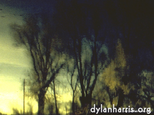 image: This is &lsquo;wurm im apfel (ii) 9&rsquo;.