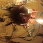 image: Image from the photoset &lsquo;wurm im apfel (ii)&rsquo;.
