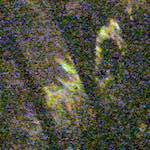 image: Image from the photoset &lsquo;wurm im apfel (ii)&rsquo;.
