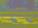 image: Image from the photoset &lsquo;wurm im apfel (ii)&rsquo;.