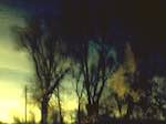 image: Image from the photoset &lsquo;wurm im apfel (ii)&rsquo;.