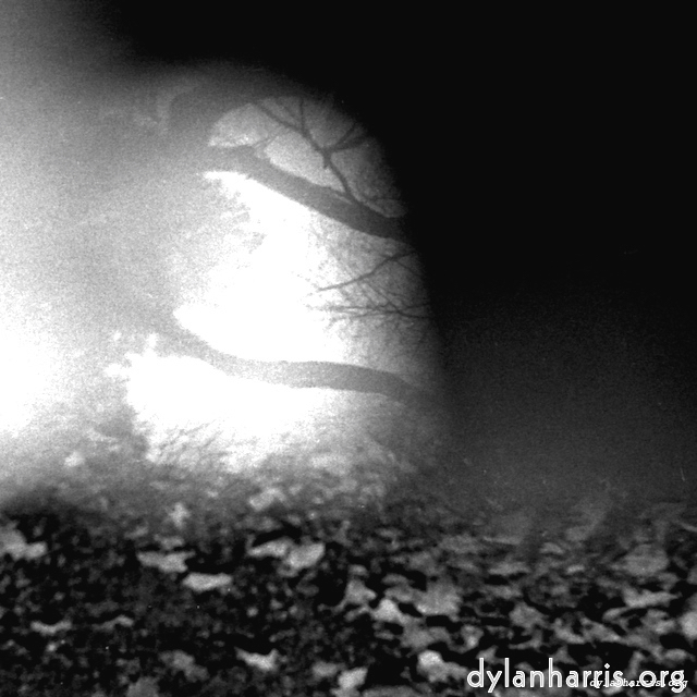 image: This is &lsquo;wurm im apfel (iii) 14&rsquo;.