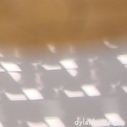 image: This is &lsquo;wurm im apfel (iii) 2&rsquo;.