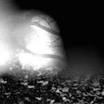 image: Image from the photoset &lsquo;wurm im apfel (iii)&rsquo;.