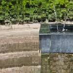 image: Image from the photoset &lsquo;wurm im apfel (iv)&rsquo;.