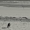 image: unlabelled image