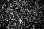 image: unlabelled image