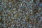 image: unlabelled image