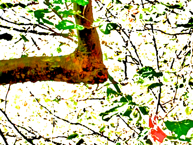 image: unlabelled image