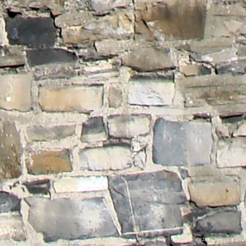image: unlabelled image