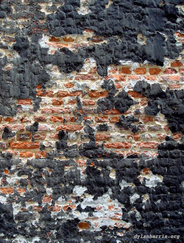 image: unlabelled image