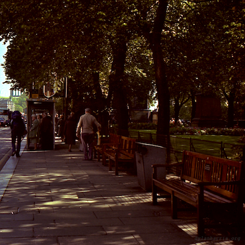 image: unlabelled image