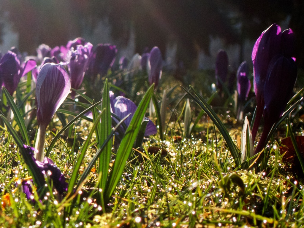 march