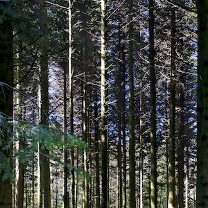 image: