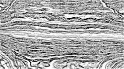 image: an image