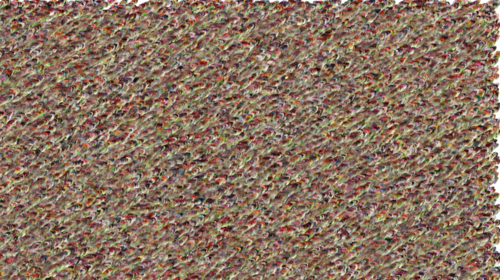 image: an image